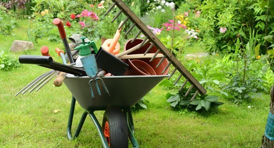 Carretilla con utensilios de jardinería